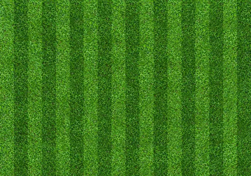 满冠体育app 界面展示